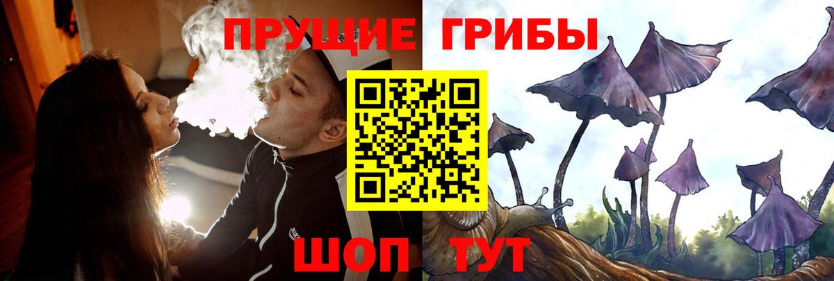 Галлюциногенные грибы GOLDEN TEACHER  Галлюциногенные грибы мицелий  Вход с VPN  Мыски 