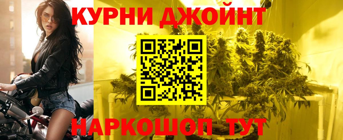 Канабис сатива  Шишки марихуана сатива  Мыски  Вход с VPN 